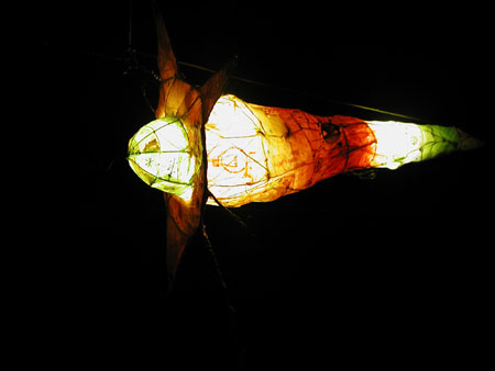 satelite de nuit
